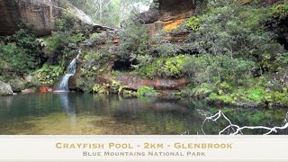 Blue Mountains National Park  Crayfish Pool [upl. by Charley]