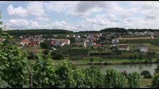 Die Mosel ein Grenzfluß zwischen Luxemburg und Deutschland  Reisebericht [upl. by Ursulette]