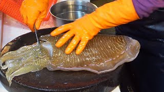 Amazing Giant Cuttlefish  Tuna、Eel 、Sunfish  Cutting and Cooking [upl. by Amos489]