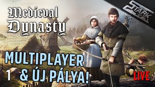 Medieval Dynasty Coop  1Rész ÚJ PÁLYA amp Multiplayer Update  Stark LIVE [upl. by Antonie]