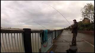 Urban fishing London Tales from the Thames  Blog 1 [upl. by Ainad]