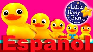 Contar cinco patitos  Canciones infantiles  LittleBabyBum [upl. by Ailuig]