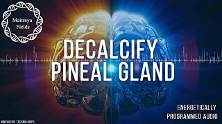 Decalcify Pineal Gland  Energetically Programmed Audio  Maitreya Reiki™ [upl. by Rie]