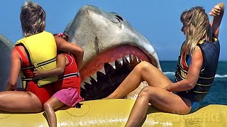 The End of The Jaws Saga  Jaws The Revenge Best Scenes 🌀 4K [upl. by Marinna]