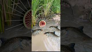 2Survival Skills SIMPLE and USEFUL with watermelon fish trap bushcraft campin [upl. by Rawden]