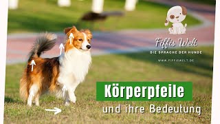 Körpersprache Hund  Körperpfeile und ihre Bedeutung [upl. by Lanahtan]