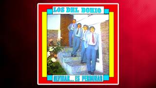 Los Del Bohio  Cantando A La Gilada [upl. by Mandel622]