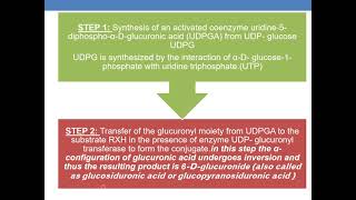 GLUCURONIDATION [upl. by Hitt]