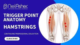 Exploring the Hamstrings Understanding Trigger Point Locations for Better Muscle Health [upl. by Nytsrik]