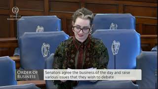 Cockfighting cruelty discussed in Seanad 22 May 2024 [upl. by Atena]