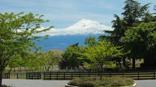 California Ranches For Sale  Shasta Shadow Ranch Siskiyou County California [upl. by Jacquie]