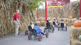 Heres where you can enjoy fall activities in Cincinnati on a budget [upl. by Ayat]