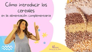 Cómo INTRODUCIR los CEREALES 🥣en ALIMENTACIÓN COMPLEMENTARIA [upl. by Llemert]