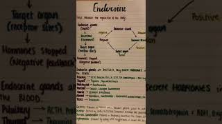 Endocrine systems PHYSIOLOGY and anatomy medical 20 [upl. by Inajar590]