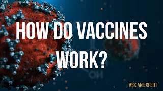 How do vaccines work [upl. by Ativad]