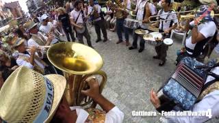 Siamo in provincia di Vercelli a Gattinara per la festa delluva [upl. by Berte794]