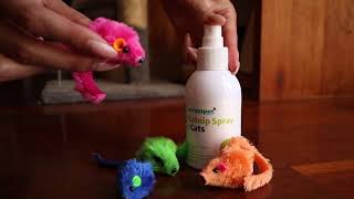 How to Use Catnip Spray for Cats amp Kittens  Watch a Cats Reaction [upl. by Alue78]