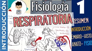 Neurofisiología  Somatosensorial  UBA  MEDICINA [upl. by Nnodnarb]