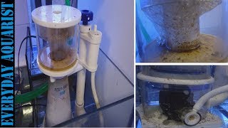 What Is a Protein Skimmer How Do They Work Do You Need One Saltwater Marine Aquarium [upl. by Banyaz508]