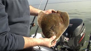 Fishing for Flatfish  Rigs Tips amp Tactics  CATCH MORE FISH [upl. by Aikemaj541]