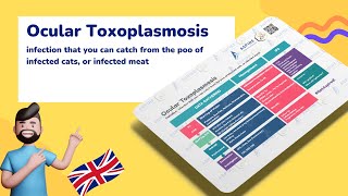 Ocular Toxoplasmosis Essential Insights  Ophthalmology [upl. by Ilsa]