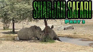 SHARJAH SAFARI EXPERIENCE❤️Part 3️⃣ SHARJAH SAFARI PARK UAE 🇦🇪 Yeny Love❤️ [upl. by Borchert]