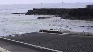 Hawaii Tsunami Kona Big Island REAL FOOTAGE [upl. by Mateo288]