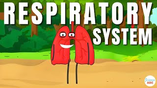 Respiratory System From Inspiration to Expiration Explained in Simple Words [upl. by Ajtak451]