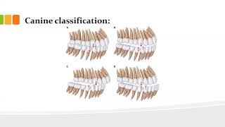 orthodontics L3 malocclusion [upl. by Eitsyrhc]