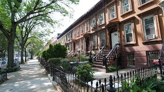 Stuyvesant Heights rental 323 Macon st [upl. by Nazay]