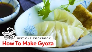 How To Make Gyoza Japanese Potstickers Recipe 餃子の作り方 レシピ [upl. by Enerehs]