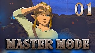 Into the Wild  BotW Master Mode Ep 1 [upl. by Ylerebmik]