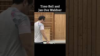 Timo Boll vs JO Waldner recreated 2022 shorts youtubeshorts [upl. by Nasus506]