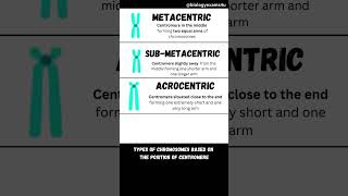 Types of Chromosomes [upl. by Ylatfen]