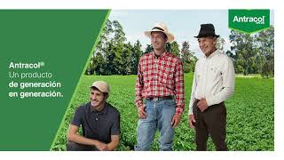 Antracol® para tu cultivo de arroz  Agro Bayer Perú [upl. by Obadiah962]