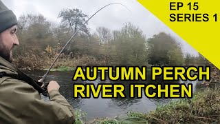 Pristine Autumn Perch Chasing Scales Species Hunt EPISODE 15 [upl. by Yziar]