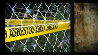 Asbestos Abatement Mold Removal Atlanta [upl. by Nelli]