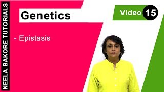 Genetics  Principles of Inheritance amp Variations  NEET  Epistasis  Neela Bakore Tutorials [upl. by Norma]