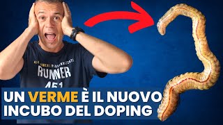 Il VERME MARINO che rivoluziona il DOPING e SPAVENTA lo SPORT  Arenicola marina [upl. by Anilrac]