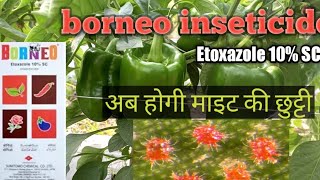 Sumitomo Borneo Etoxazole 10 SC Insecticides Red Spider Miteमाइटसाइड the smart farming [upl. by Fineberg]