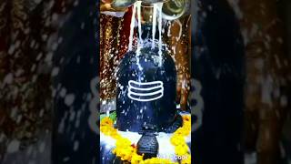 Lord Shiva Status  Shiva Bhajan  Om Namah Shivay [upl. by Aleciram]