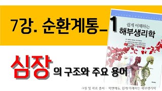 7강 순환계통심장의 구조와 주요 용어 [upl. by Akkahs]