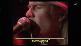 Meshuggah  Greed  Early Live Clip from 1989 [upl. by Naxor]