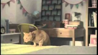 Mannings Commercial  Cat Commercial 萬寧貓仔廣告 結局 [upl. by Erinn]