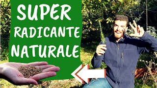 Scopri TRE RADICANTI NATURALI per TALEE efficaci [upl. by Punke689]