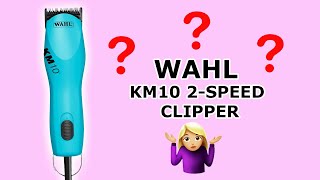 Wahl KM10 Clipper Review Professional Groomers Opinion [upl. by Musser]