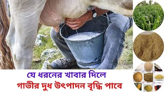 গাভীর দুধ উৎপাদনের বৃদ্ধির জন্য কি খাবার দিবেন দানাদার নাকি কাচাঁ ঘাস  গাভীর দুধ বৃদ্ধির উপায় [upl. by Nosremaj]