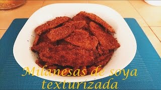 Recetas con milanesas [upl. by Skyler566]