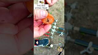 THE BEE STING TRAP trapping trap survival survivaljungletrap metaldetecting trapmaking [upl. by Balling]