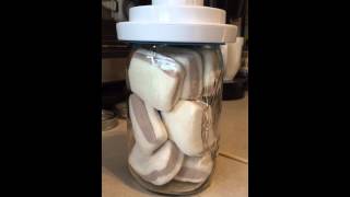 Marshmallows in vacuum sealer [upl. by Nilauqcaj]